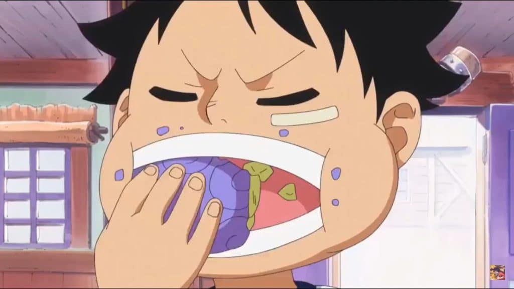 ผลไม้ยางพารา: ประวัติของ Gomu Gomu no Mi ของ One Piece